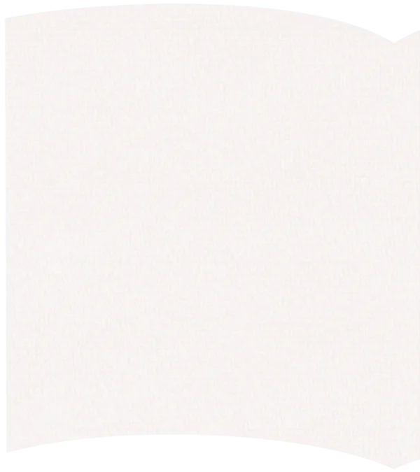 セクション3画像